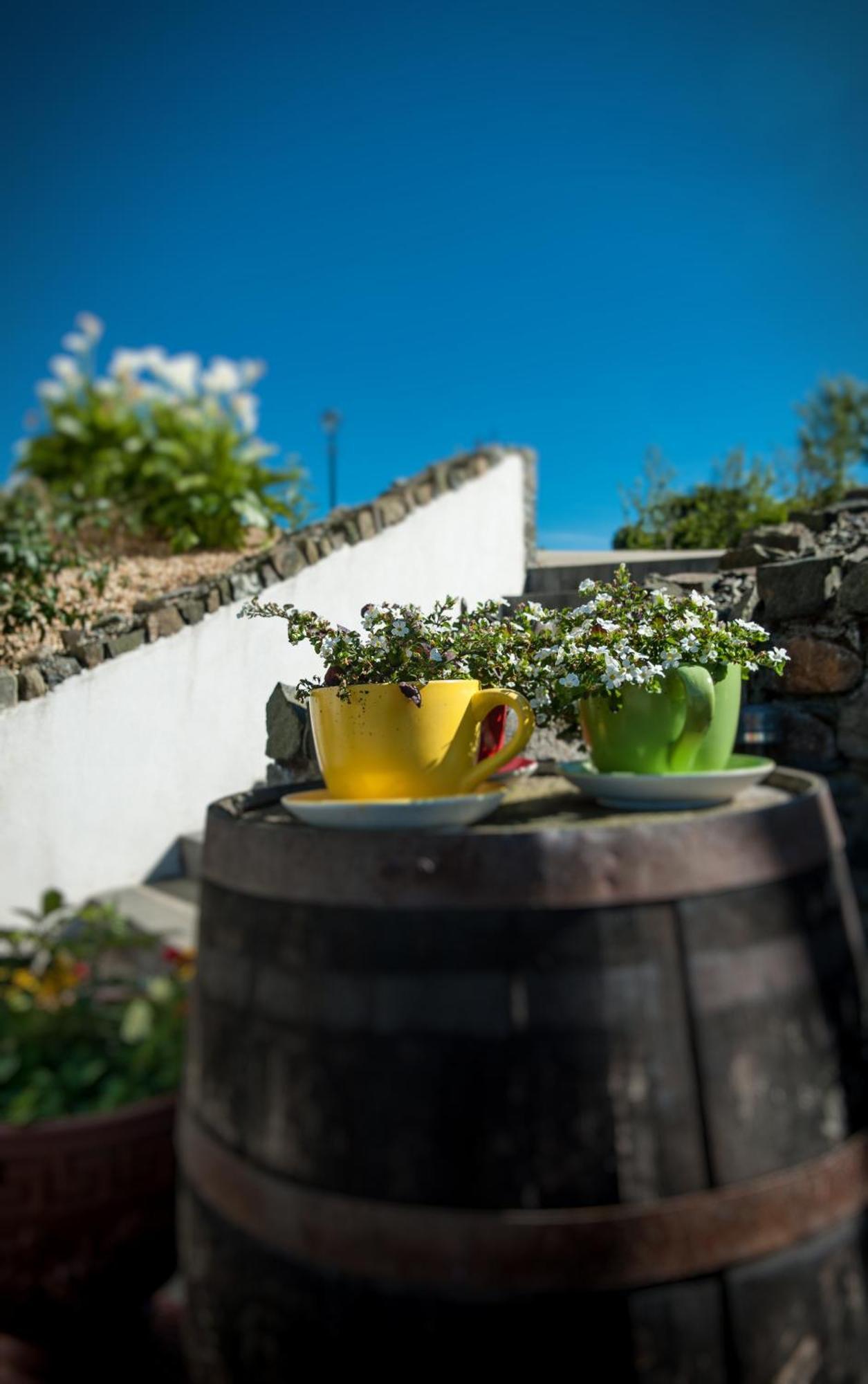 Grove House Bed & Breakfast Carlingford Εξωτερικό φωτογραφία