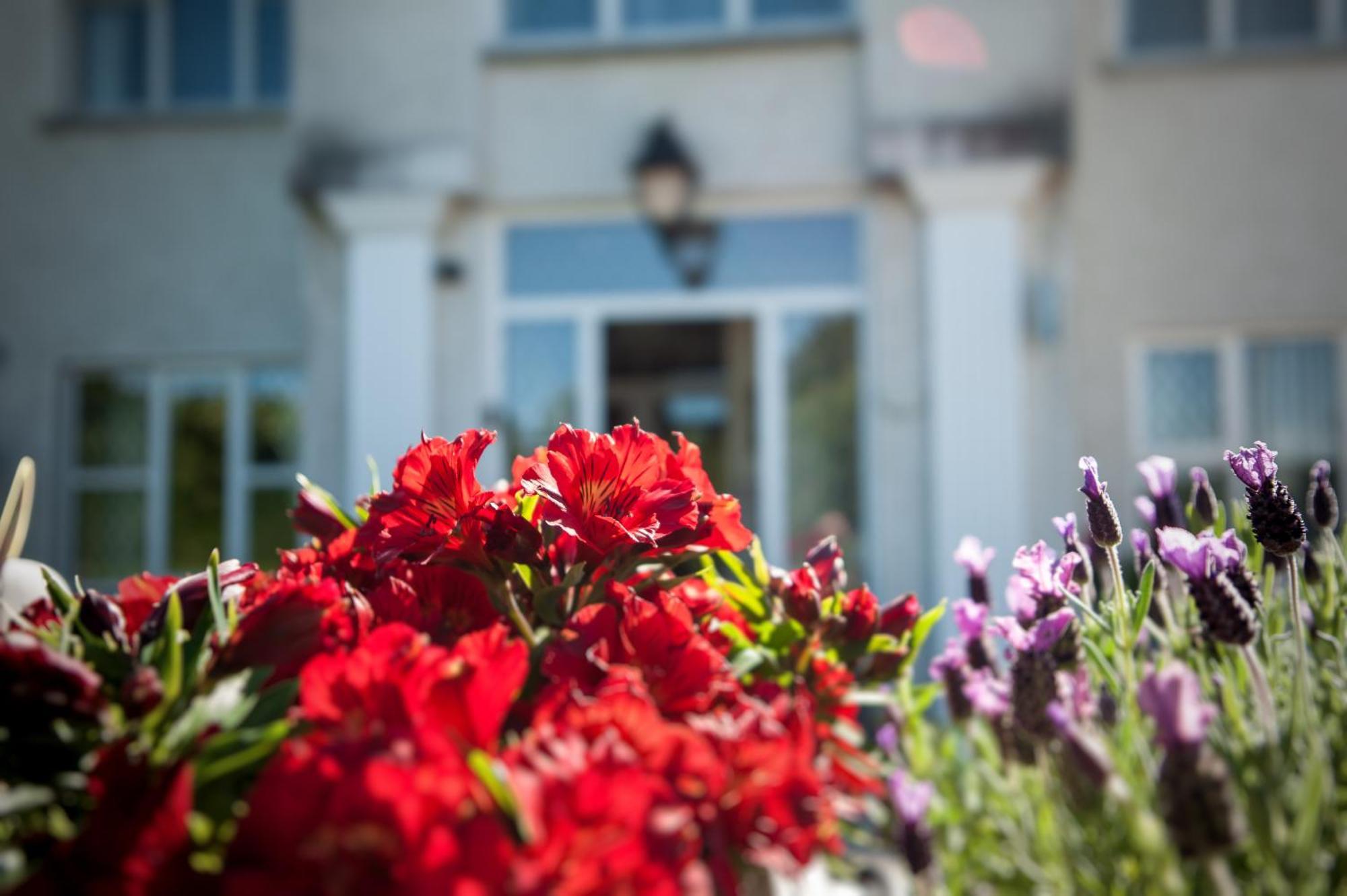Grove House Bed & Breakfast Carlingford Εξωτερικό φωτογραφία